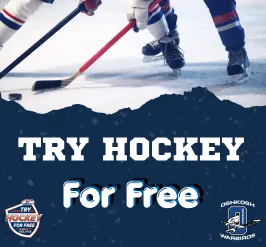 Hockey players on the ice. 