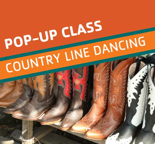 pairs of cowboy boots.