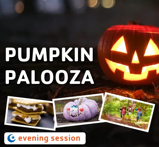 Pumpkin palooza evening session. A jack o lantern, smores, and kids hiking.