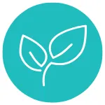 A leaf symbol for plant based foods.